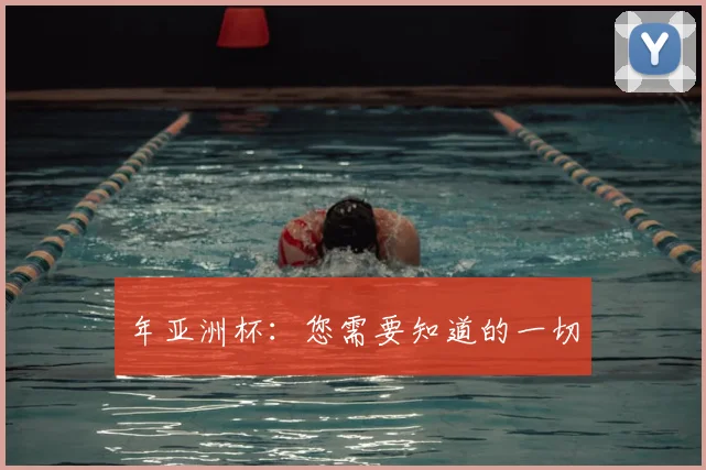 年亚洲杯:您需要知道的一切
