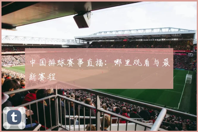 中国排球赛事直播:哪里观看与最新赛程